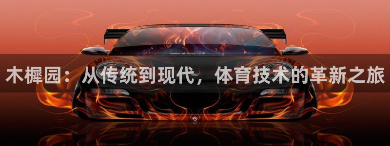 vsport体育：木樨园：从传统到现代，体育技术的革新之旅