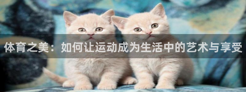 vsport体育在线官网：体育之美：如何让运动成为生活中的艺术与享受