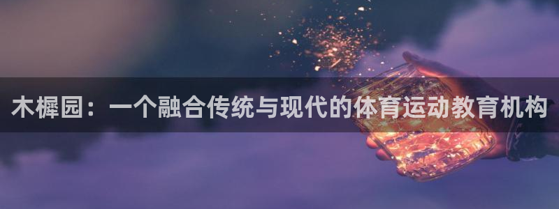 vsport体育