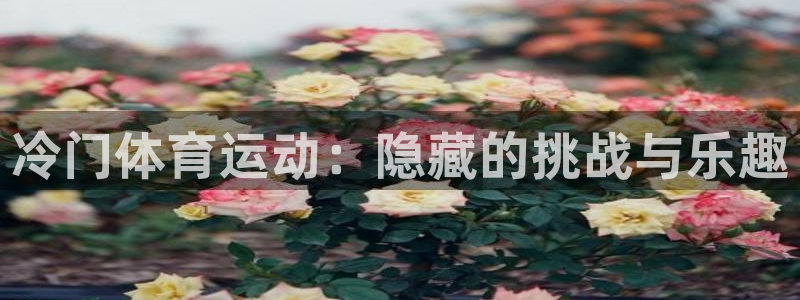 vsport体育在线官网