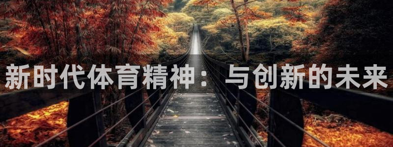 vsport体育在线官网