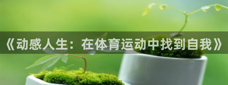 vsport体育在线官网