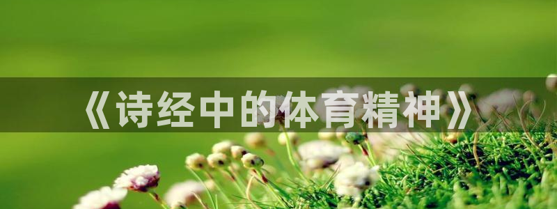 vsport体育在线官网