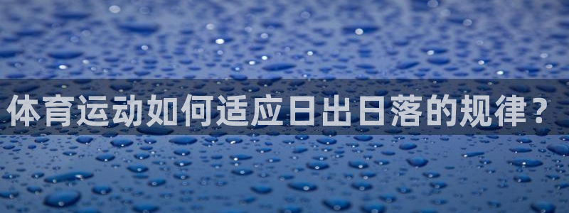 vsport体育在线官网