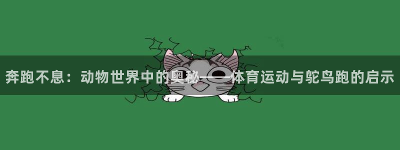 vsport体育