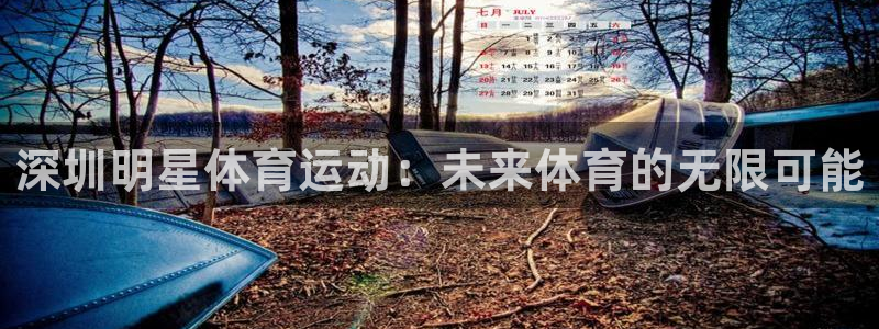 vsport体育在线官网
