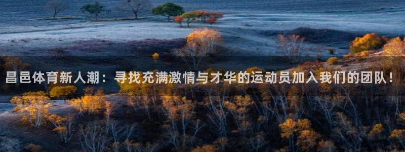vsport体育在线官网：昌邑体育新人潮：寻找充满激情与才华的运动员加入我们的团队！