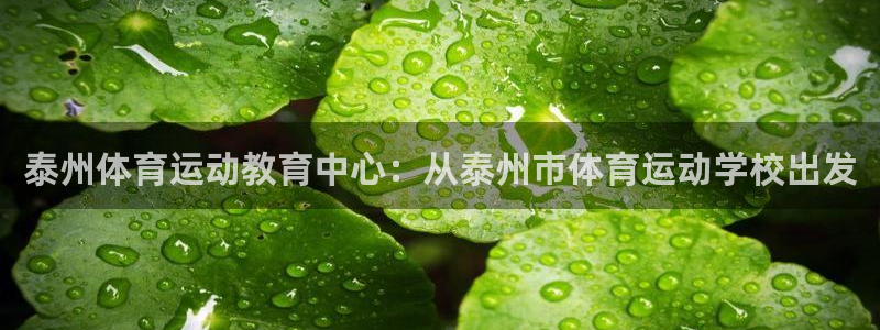 vsport体育在线官网